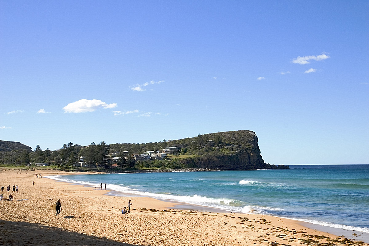 Avalon Beach landscape reference