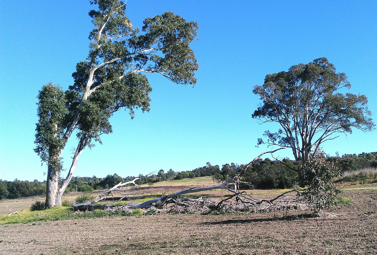 Western Sydney Parklands landscape reference