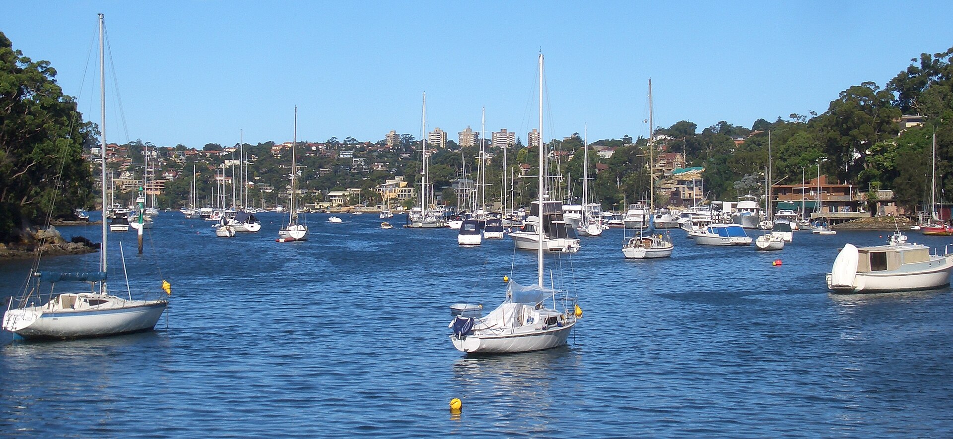 Cammeray landscape reference